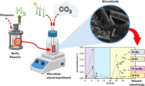 Homoacetogenic Consortia from BioH2 Reactors Enable CO2 Bioconversion ...