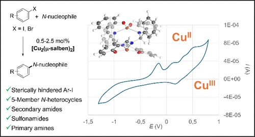 Well-Defined Dinuclear Copper(II) Complexes with Distorted Coordination ...