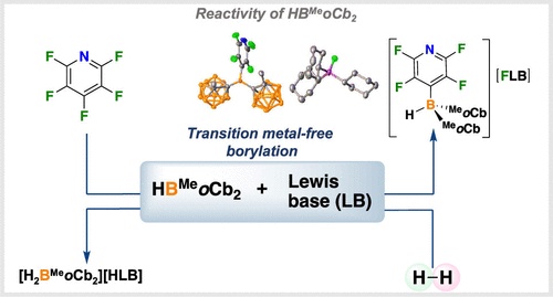 Frustrated Lewis Pair Reactivity of Bis(1-methyl-ortho-carboranyl ...