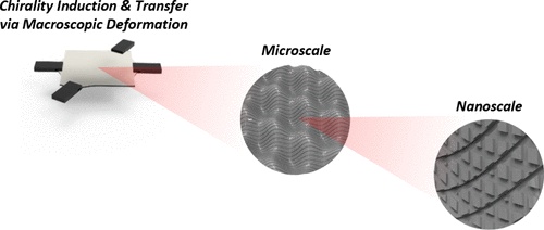 Chirality Transfer and Induction Across Multiscales Using Chiral ...