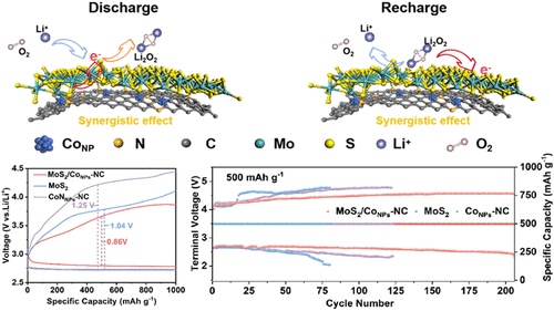 MoS2 Nanosheets on CoNPs-NC as a Bifunctional Catalyst for Oxygen ...