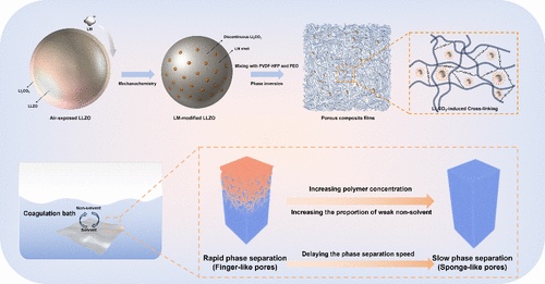 Synergistic Preparation of High-Performance Gel Electrolytes via Pore ...