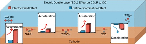 Decoding Electric Double Layer Effects on CO2 Electroreduction on Ni–N ...