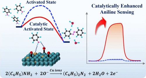 Understanding Enhanced Aniline Sensing with Cu-Doped SnO2 via GC−MS ...