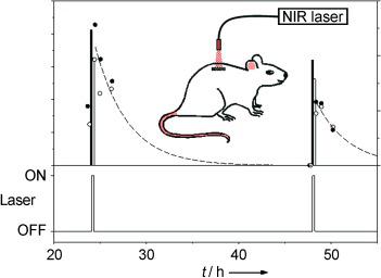 Externally Triggered Glass Transition Switch For Localized On Demand Drug Delivery Angewandte Chemie International Edition X Mol