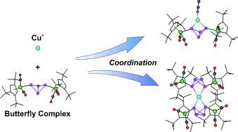 E4 Butterfly Complexes E P As As Chelating Ligands Angewandte Chemie International Edition X Mol