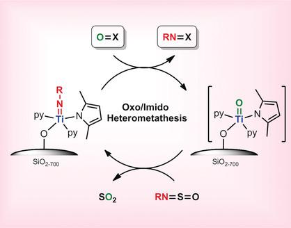 Catalytic Oxo Imido Heterometathesis By A Well Defined Silica Supported Titanium Imido Complex Angewandte Chemie International Edition X Mol