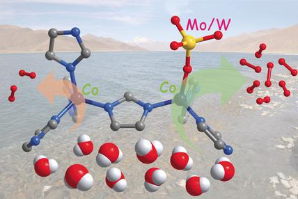 Non 3d Metal Modulation Of A Cobalt Imidazolate Framework For Excellent Electrocatalytic Oxygen Evolution In Neutral Media Angewandte Chemie International Edition X Mol