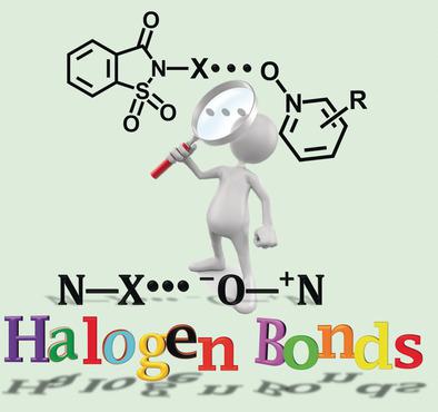 Strong N X O N Halogen Bonds A Comprehensive Study On N Halosaccharin Pyridine N Oxide Complexes Angewandte Chemie International Edition X Mol