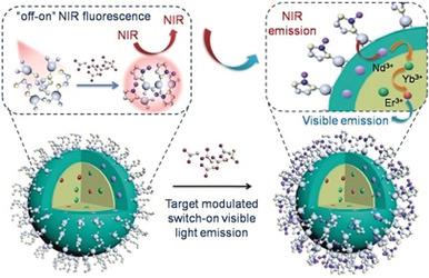 Nir Colorization Naked-Eye Readout of Analyte-Induced NIR Fluorescence Responses by an ...