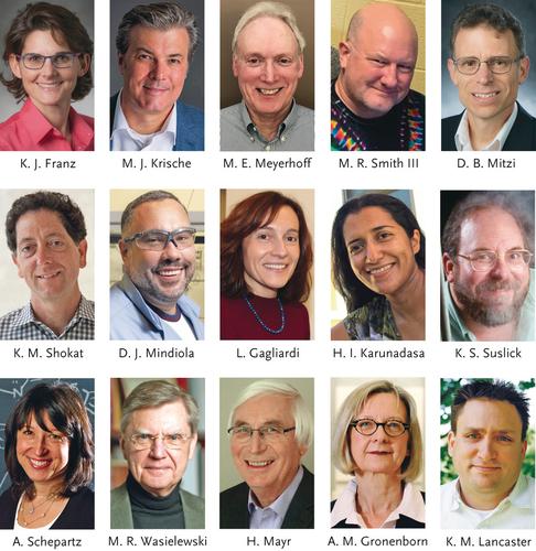 美国化学学会国家奖2020 Angewandte Chemie International Edition X Mol