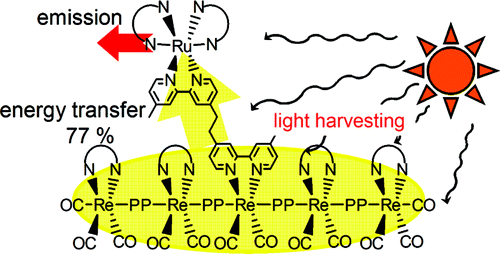 New Light-Harvesting Molecular Systems Constructed with a Ru(II ...