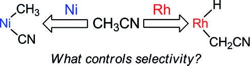 C H Vs C C Bond Activation Of Acetonitrile And Benzonitrile Via Oxidative Addition Rhodium Vs Nickel And Cp Vs Tp Tp Hydrotris 3 5 Dimethylpyrazol 1 Yl Borate Cp Eta 5 Pentamethylcyclopentadienyl Journal Of The American Chemical Society