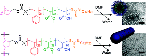 Dynamic Cylindrical Assembly of Triblock Copolymers by a Hierarchical ...