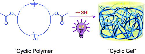 Gels Based on Cyclic Polymers,Journal of the American Chemical Society ...