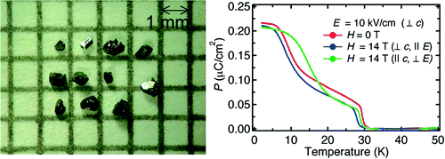 High-Pressure Hydrothermal Crystal Growth and Multiferroic Properties ...