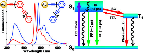 Organic Triplet Excited States Of Gold I Complexes With Oligo O Or M Phenyleneethynylene Ligands Conjunction Of Steady State And Time Resolved Spectroscopic Studies On Exciton Delocalization And Emission Pathways Journal Of The American Chemical