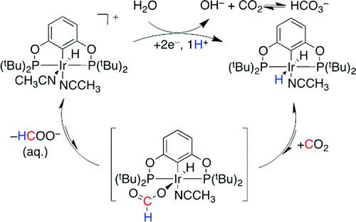 Electron-Rich Phenoxyl Mediators Improve Thermodynamic Performance of  Electrocatalytic Alcohol Oxidation with an Iridium Pincer Complex