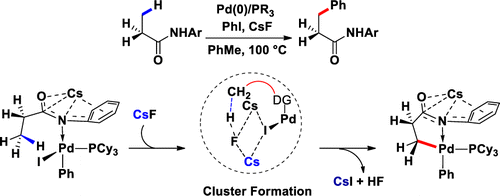 Understanding The Reactivity Of Pd 0 Pr3 Catalyzed Intermolecular C Sp 3 H Bond Arylation Journal Of The American Chemical Society X Mol