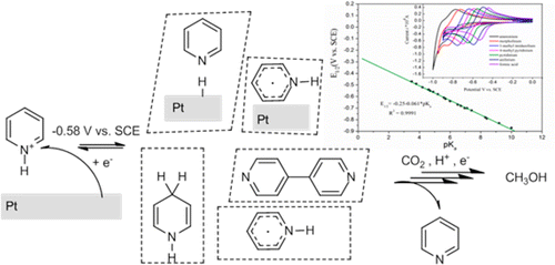 Electrochemistry Of Aqueous Pyridinium: Exploration Of A Key Aspect Of ...