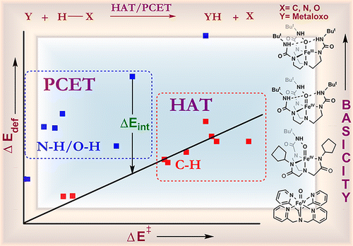 Dichotomous Hydrogen Atom Transfer Vs Proton Coupled Electron Transfer During Activation Of X H Bonds X C N O By Nonheme Iron Oxo Complexes Of Variable Basicity Journal Of The American Chemical Society X Mol