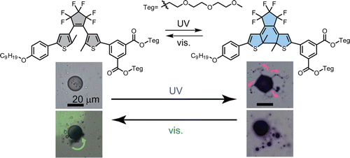 两亲二芳基乙烯组装体的光致宏观形态转变:可逆动态运动,Journal of the American Chemical Society - X-MOL