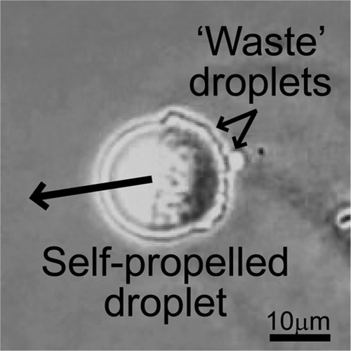Self-Propelled Oil Droplets Consuming “Fuel” Surfactant,Journal of the ...