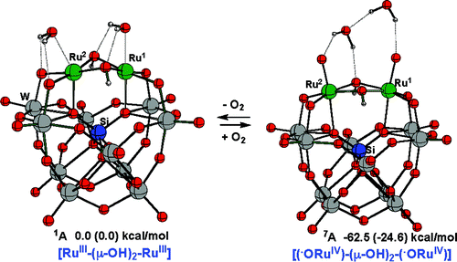 Dioxygen And Water Activation Processes On Multi Ru Substituted Polyoxometalates Comparison With The Blue Dimer Water Oxidation Catalyst Journal Of The American Chemical Society X Mol