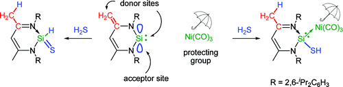 Steering S H And N H Bond Activation By A Stable N Heterocyclic Silylene Different Addition Of H 2 S Nh 3 And Organoamines On A Silicon Ii Ligand Versus Its Si Ii Ni Co 3 Complex Journal Of The American Chemical Society