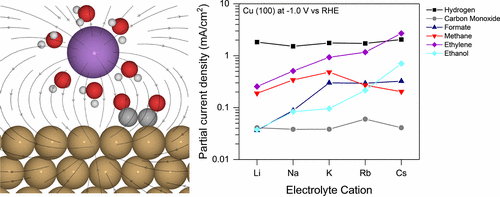 Promoter Effects of Alkali Metal Cations on the Electrochemical ...