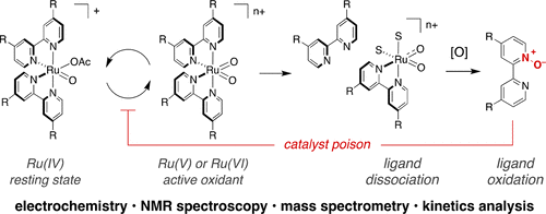 Mechanistic Study Of Ruthenium Catalyzed C H Hydroxylation Reveals An Unexpected Pathway For Catalyst Arrest Journal Of The American Chemical Society X Mol