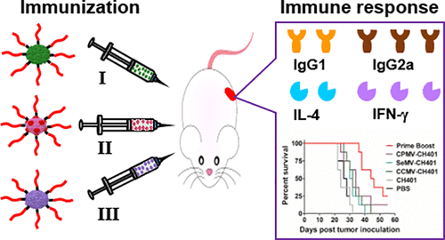 plant virus based cancer vaccine
