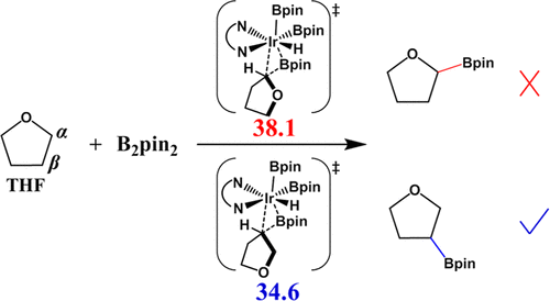 Sp3 C–H Borylation Catalyzed By Iridium(III) Triboryl Complex ...