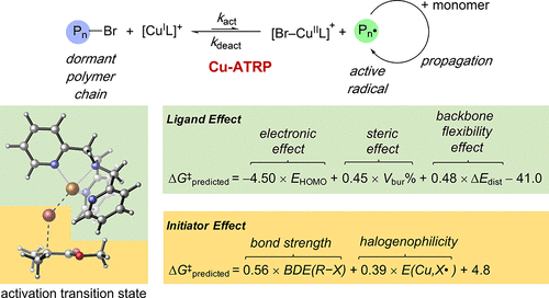 Mechanistically Guided Predictive Models For Ligand And Initiator Effects In Copper Catalyzed Atom Transfer Radical Polymerization Cu Atrp Journal Of The American Chemical Society X Mol