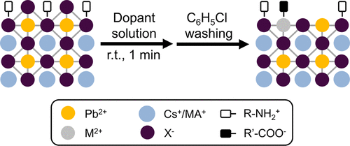 Anchored Ligands Facilitate Efficient B-Site Doping In Metal Halide ...