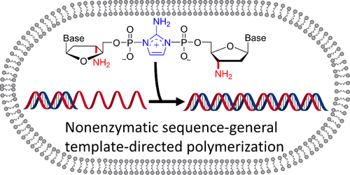 np dna up to 25 nucleotides long