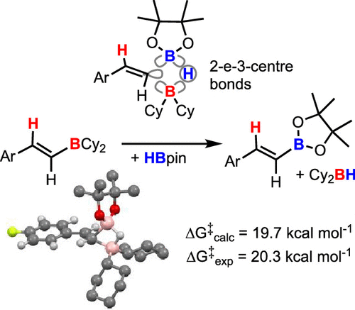 Kinetics And Mechanism Of The Arase Hoshi R2bh Catalyzed Alkyne Hydroboration Alkenylboronate Generation Via B H C B Metathesis Journal Of The American Chemical Society X Mol