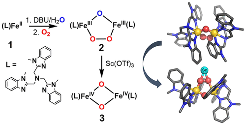 Sc3 Promoted O O Bond Cleavage Of A M 1 2 Peroxo Diiron Iii Species Formed From An Iron Ii Precursor And O2 To Generate A Complex With An Feiv2 M O 2 Core Journal Of The American Chemical Society X Mol