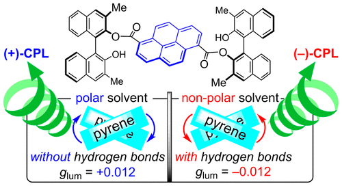 Solvent-Induced Sign Inversion of Circularly Polarized Luminescence ...