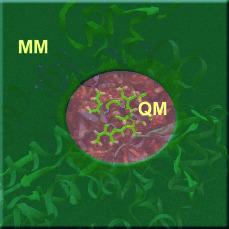 QM/MM Methods for Biomolecular Systems,Angewandte Chemie International ...