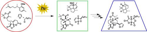 光化学反应是天然产物合成的关键步骤,Angewandte Chemie International Edition - X-MOL