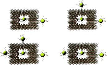 Encapsulation of Gold Nanoparticles in a DNA Origami Cage,Angewandte ...
