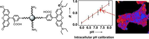 A Tunable Ratiometric pH Sensor Based on Carbon Nanodots for the ...