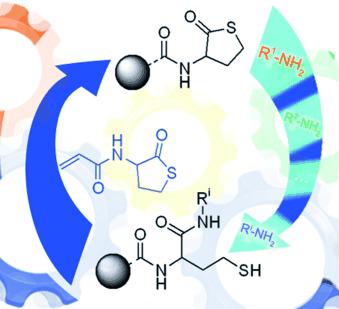 Multifunctionalized Sequence‐Defined Oligomers from a Single Building ...