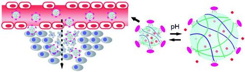 Sequential Intra‐Intercellular Nanoparticle Delivery System for Deep ...