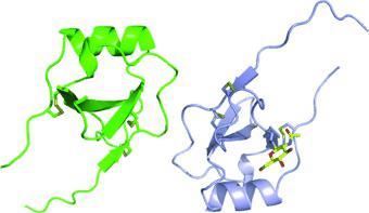 (Quasi‐)Racemic X‐ray Structures of Glycosylated and Non‐Glycosylated ...