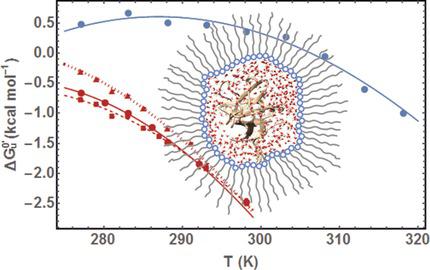 反向胶束的蛋白质稳定性,Angewandte Chemie International Edition - X-MOL