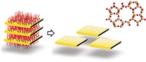 开孔二维MFI沸石纳米片，用于在多孔聚合物载体上制备烃-异构体选择性膜,Angewandte Chemie International ...