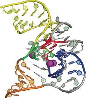 了解DNA酶的工作方式,Angewandte Chemie International Edition - X-MOL