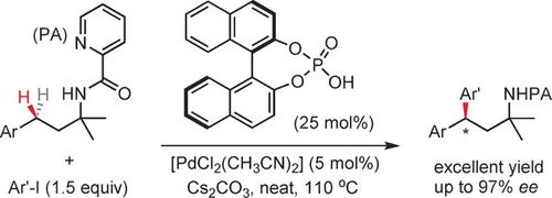 An Enantioselective Bidentate Auxiliary Directed Palladium‐Catalyzed ...